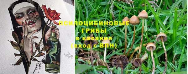 jwh Горно-Алтайск