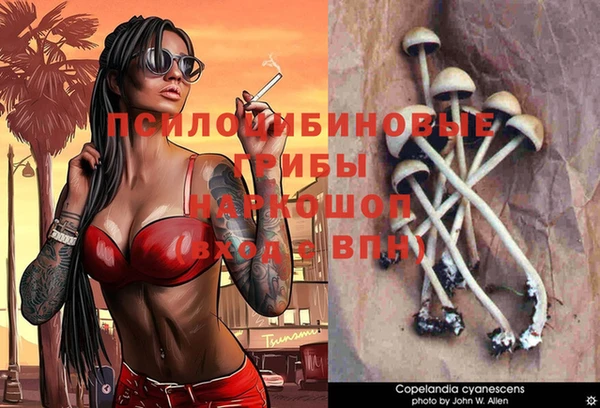 соль ск Алексин