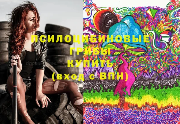 соль ск Алексин