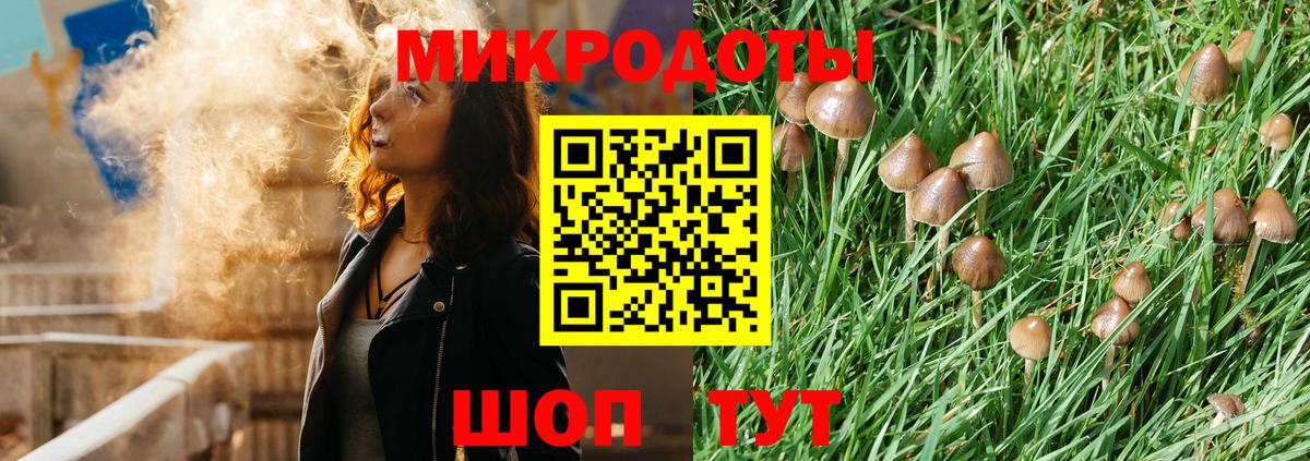 Галлюциногенные грибы MAGIC MUSHROOMS  Вход с VPN  Саки 