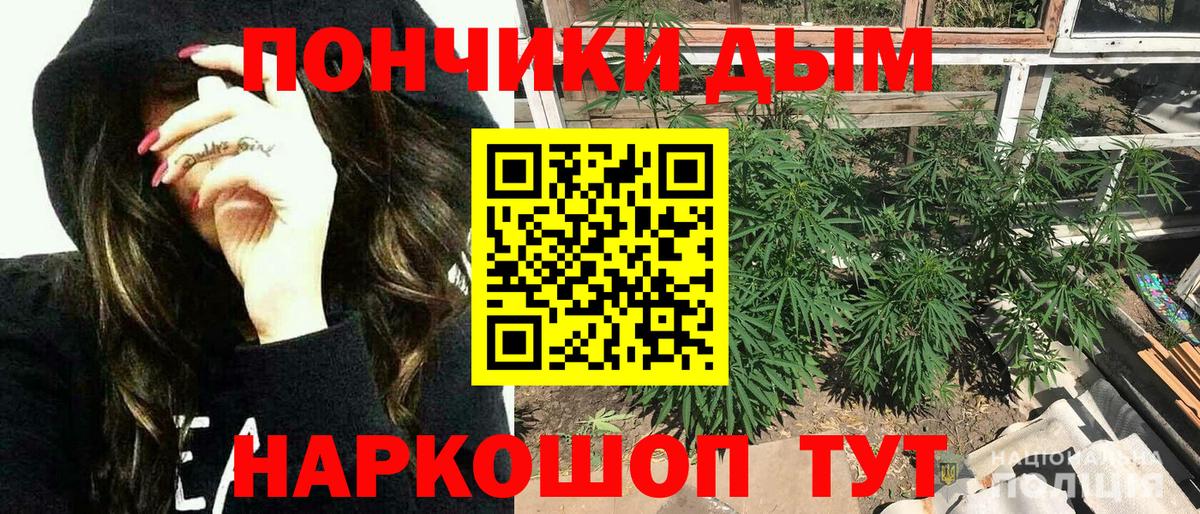 Конопля Bruce Banner Саки